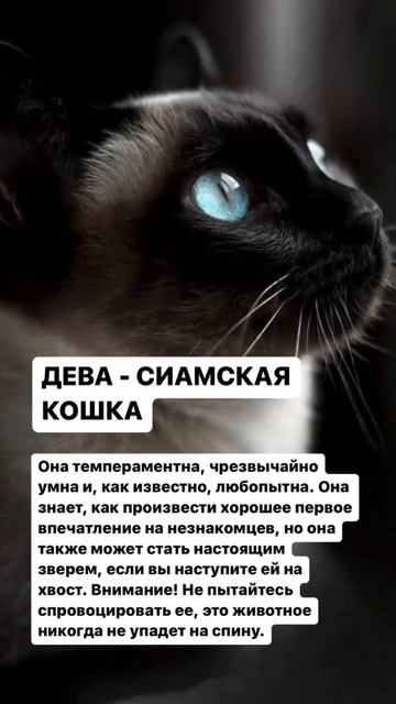 19 марта 2023 г.