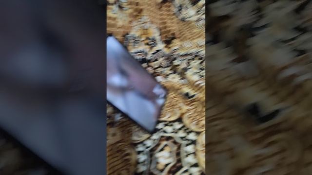 1000053497.mp4