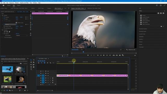 Premiere Pro Tutorial: How to Craft Stunning Image Slideshows