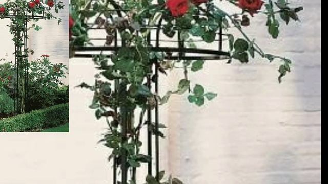 Modern and unique trellis garden ideas and collection - Garden designs for decoration