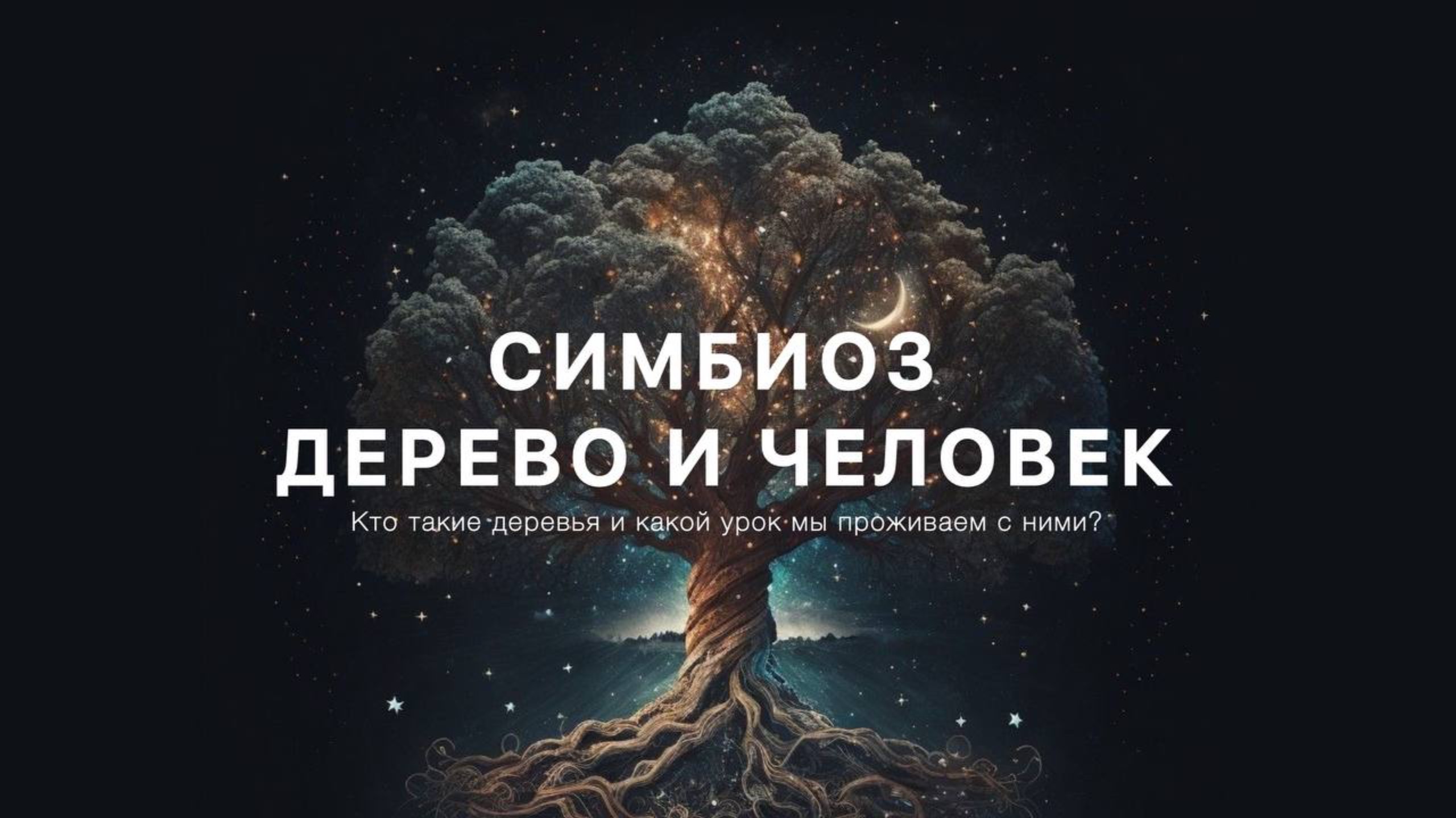 Посмотри иначе на деревья
