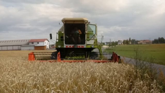 Claas dominator 96