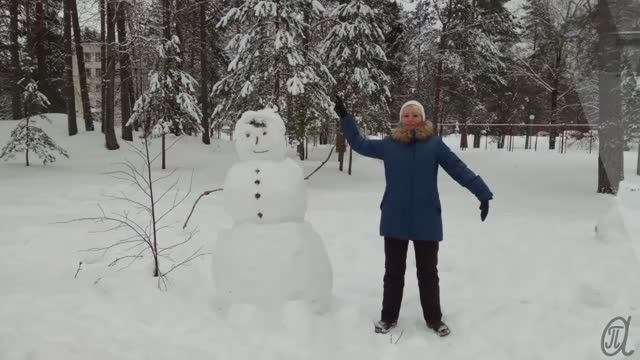 Луга. Зелёный бор /06.01.2019/
