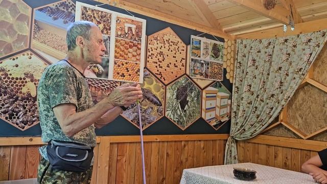 пчелиная семья. Как живут пчелы