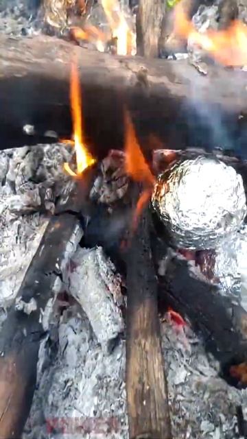 Potato Survival Hack #Shorts