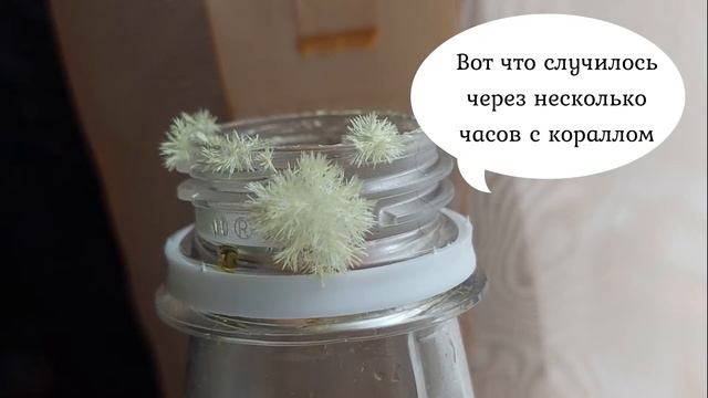 Коралл и кристалл