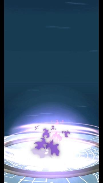 Pokémon GO-Purifying Shadow Galarian Zigzagoon