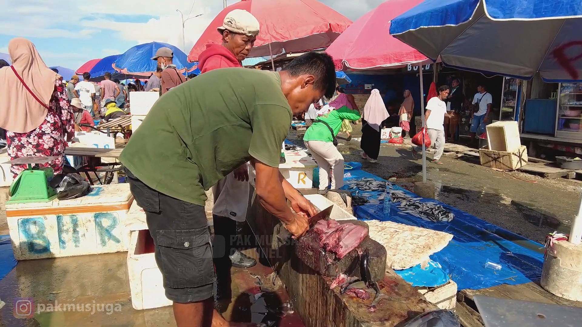 Tradisi Beli Ikan di Pasar Pelelangan Ikan di Kota Kendari Gratis Biaya Potong