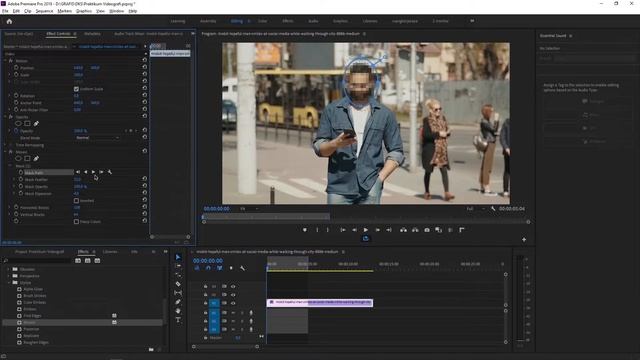 Cara Tracking Effect di Premiere Pro (Efek Blur pada Wajah)