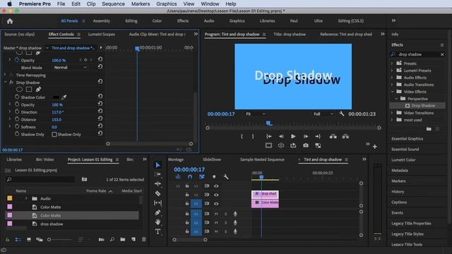 How to Add Drop Shadow Effect in Premiere Pro CC 2020 Video