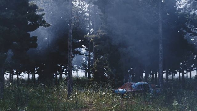 Dissolution of a disappearance
