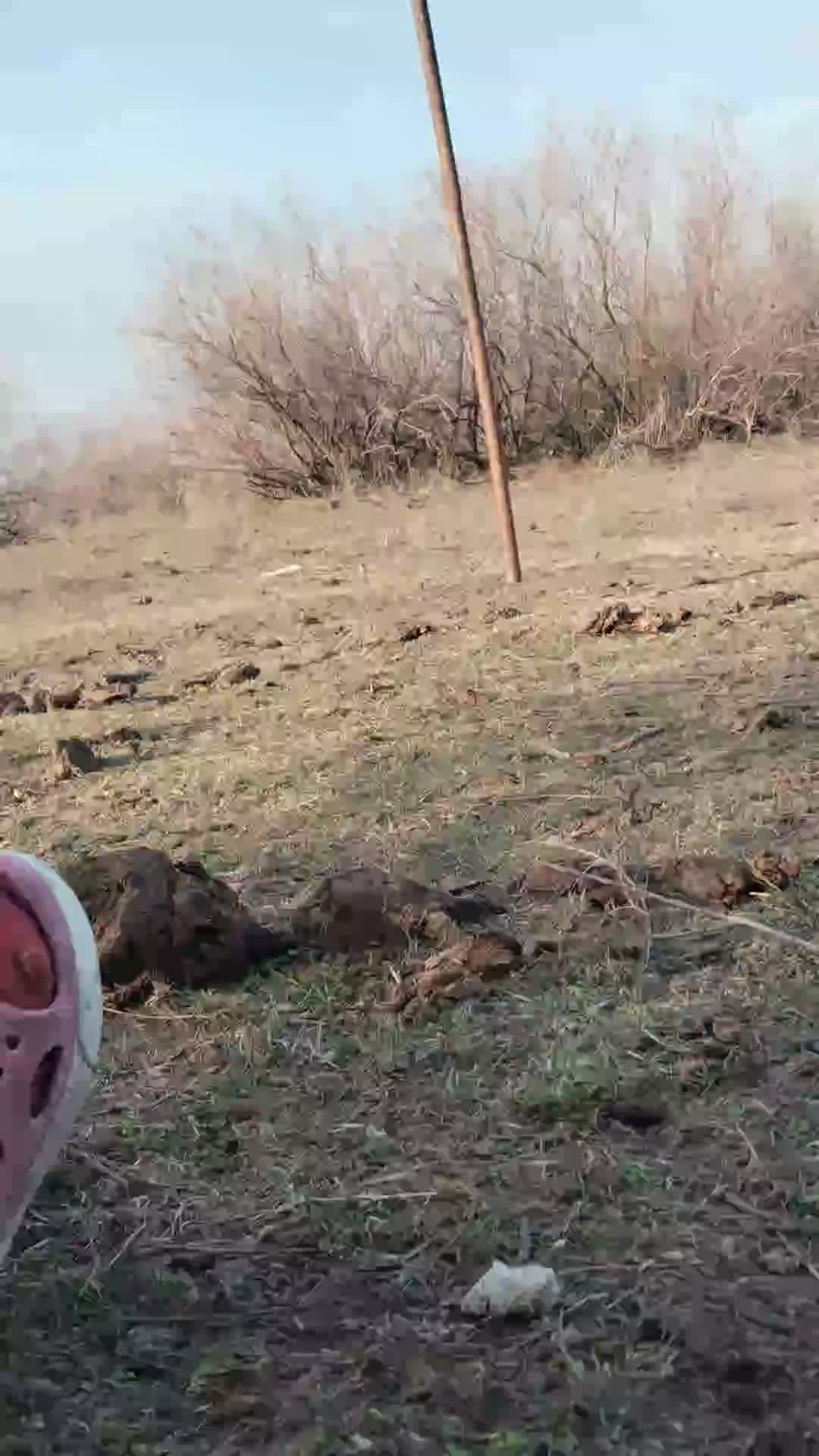 футбольное поле