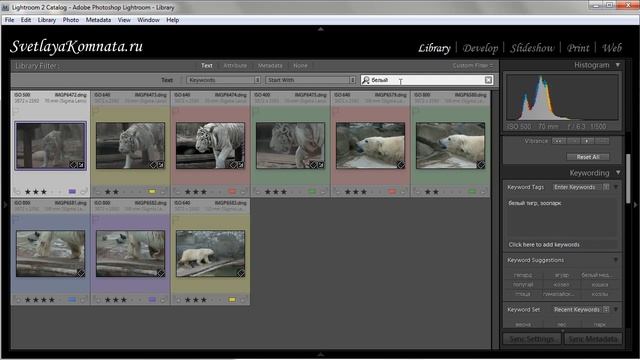Урок 021 полного русского курса по Lightroom 2