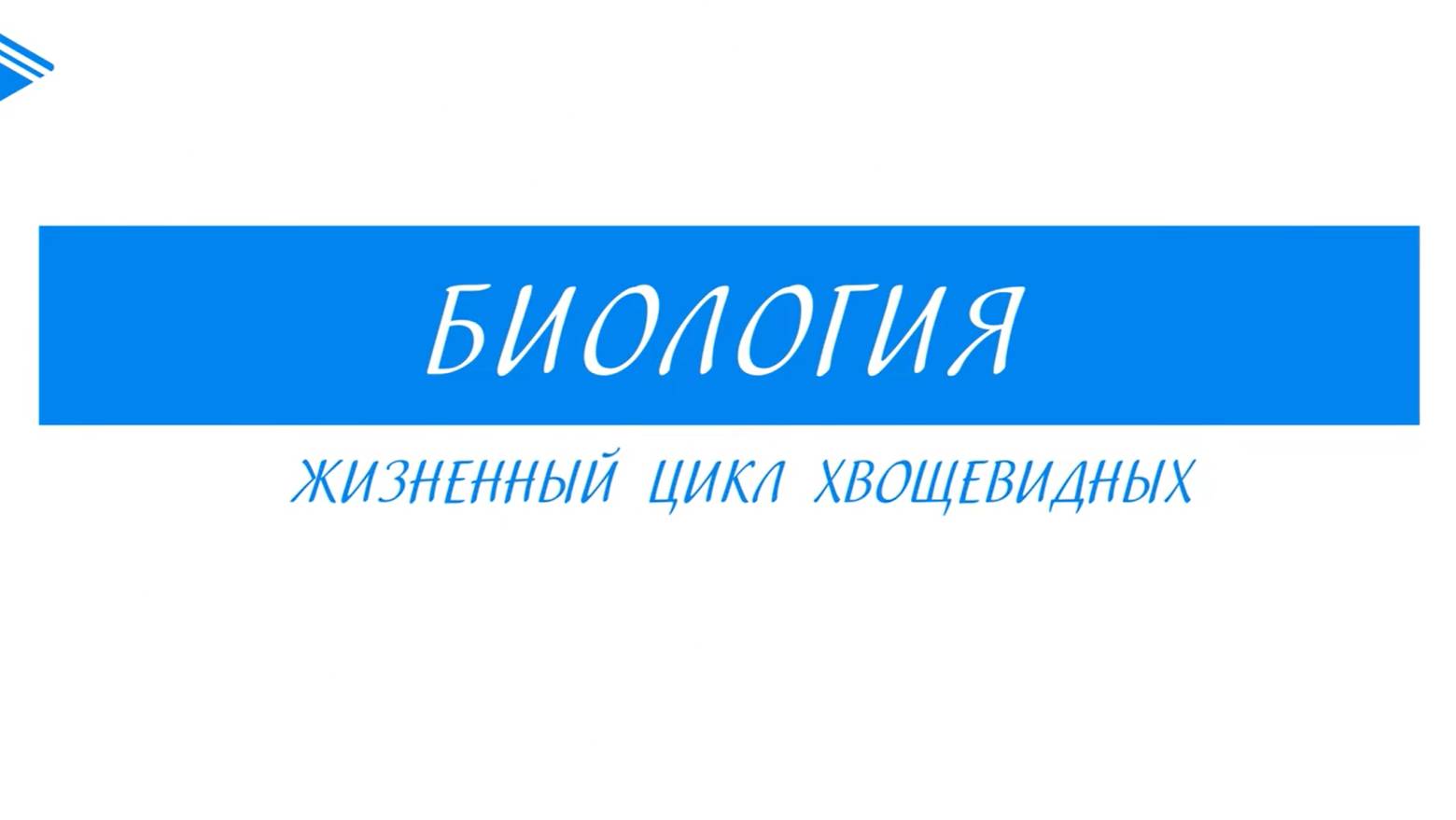 6 класс - Биология -  Жизненный цикл Хвощевидных