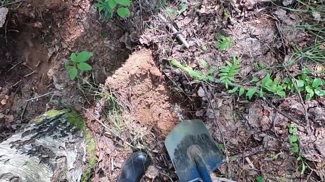 ЗАБРОШЕННАЯ ДОРОГА — ГЛУБИННЫЕ СИГНАЛЫ НЕ ДАЮТ ПОКОЯ!!!