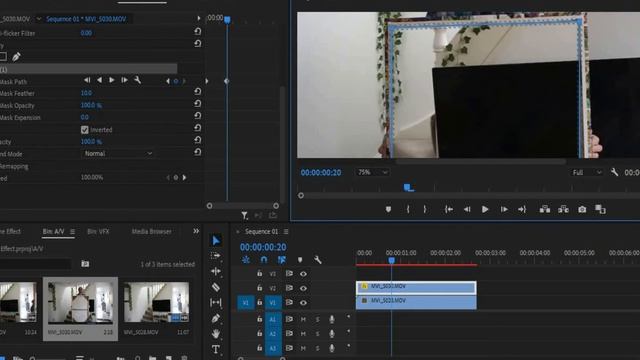 Masking Tutorials: The Frame Effect in PREMIERE PRO