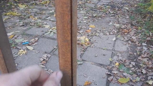 LIFE Разорвало забор