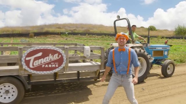 Блиппи (Blippi) -  087. Игровая Площадка «Глейзер»   Изучай этот мир вместе с Блиппи   Blippi Russia