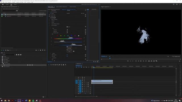 Make Colors Pop in Premiere Pro | Isolate Colors Tutorial