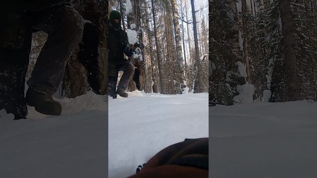 поход за чагой ,