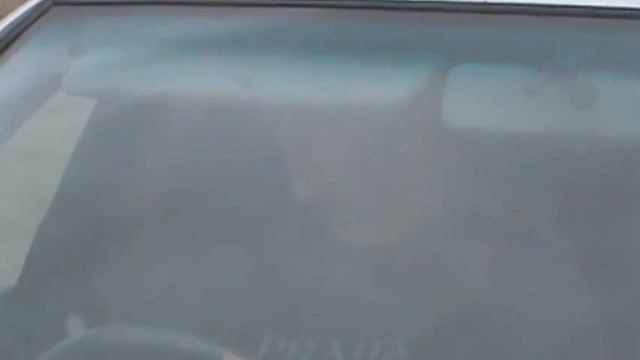 снял тонировку и живи спокойно