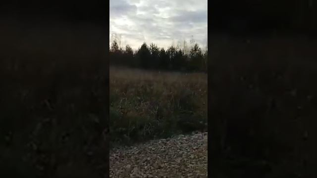 Семаки город Киров