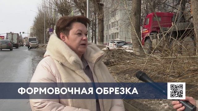 Нижнекамск готовится к весне: обрезка тополей и подготовка к озеленению