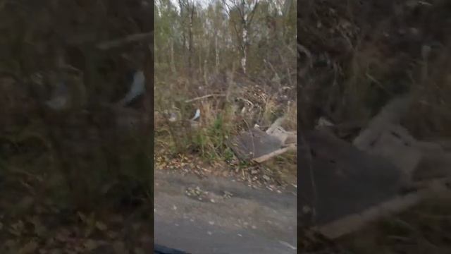 19 сентября 2020 г.
