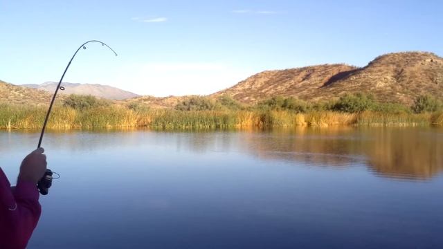 IMPRESSIVE START With NEW JOINTED SWIMBAIT LURE- Fishing A Tough Weedy Lake