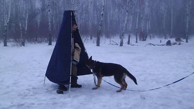 Фела. облайка-отзыв .3,02,18