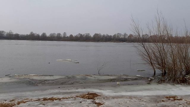 12-03-2025 ледоход