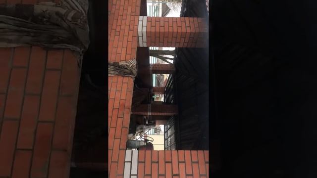 21 сентября 2019 г.