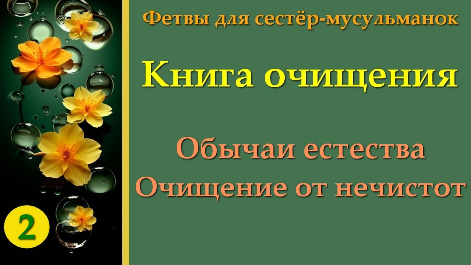 2. Книга Омовения (Обычаи естества. Очищение от нечистот)