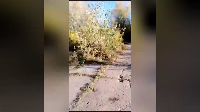 Ловля щуки осенью