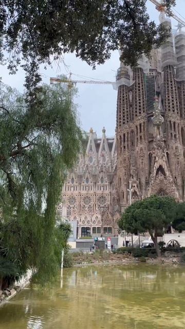 Most Visited Place in Barcelona #shorts #travel #vibes  #vlog