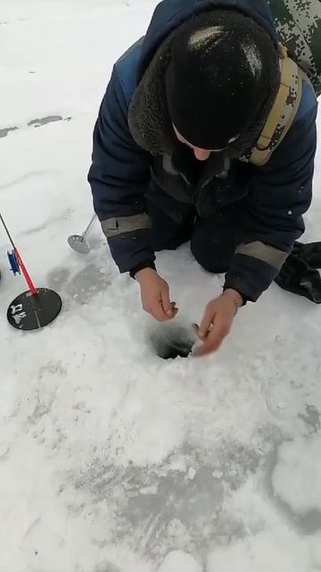 Ветренная погода, но щука клюнула