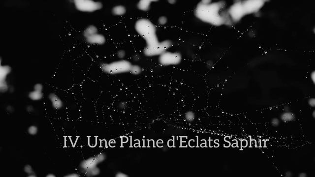 ÄÄRVÖ - Une Plaine d'Eclats Saphir [Track Premiere]