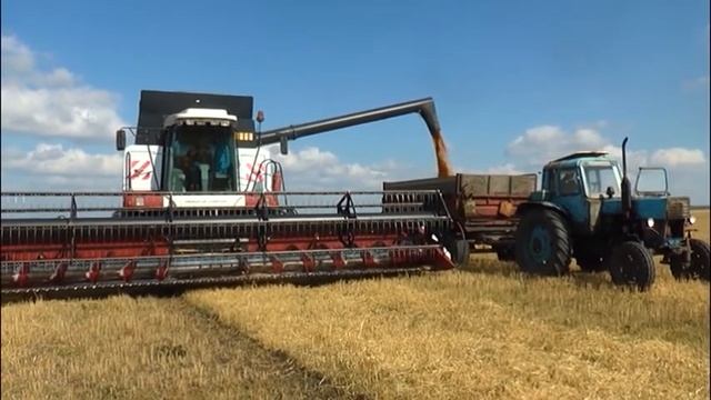 Аграрии региона убрали более 1,8 млн.га зерновых и зернобобовых культур