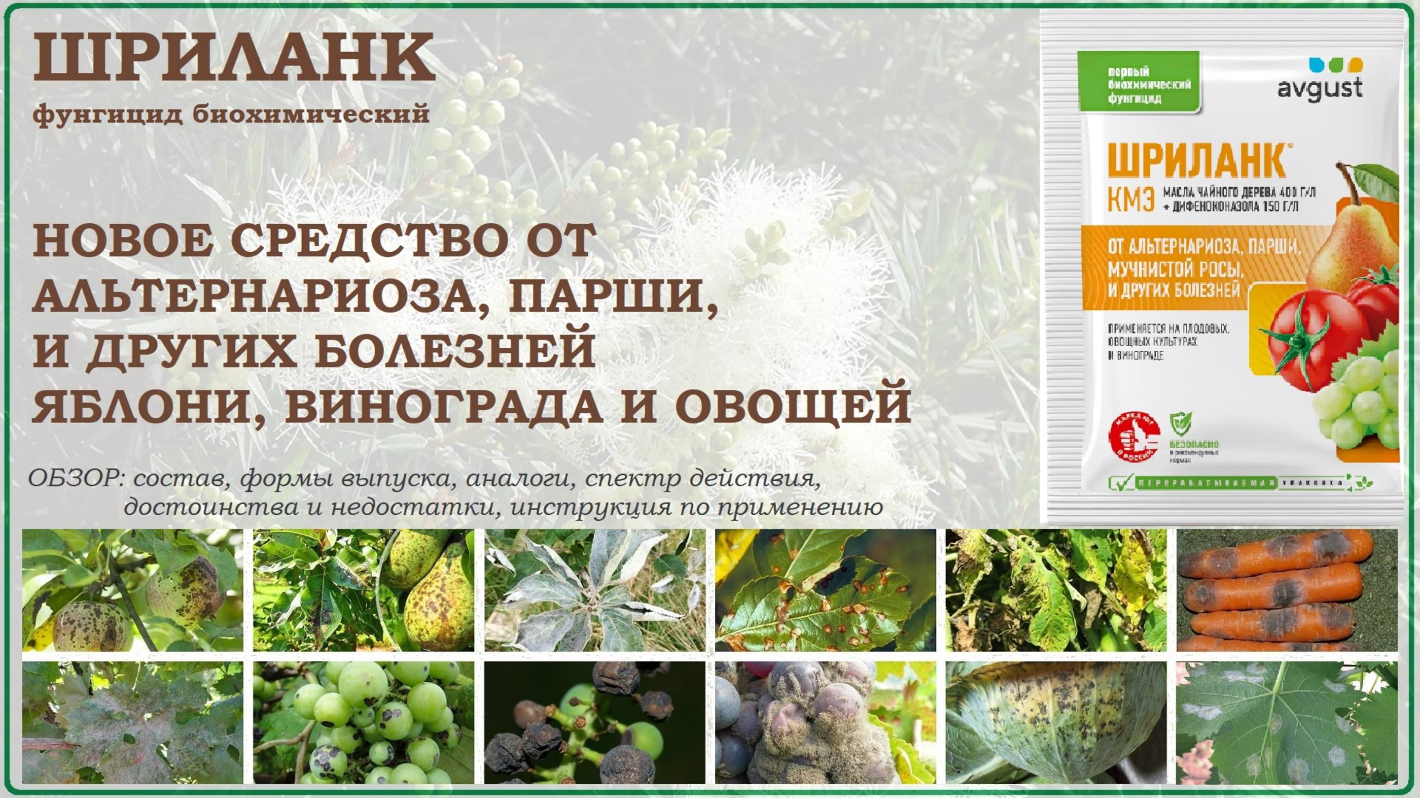 Шриланк - новое биохимическое средство для защиты от болезней плодовых,винограда и овощей. Обзор