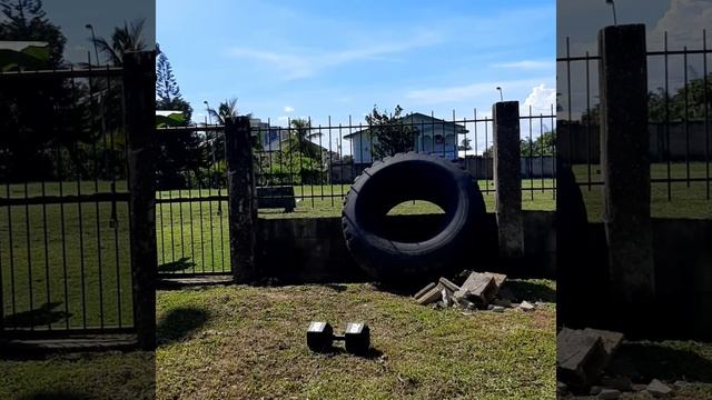Rebel RockFit Concrete Dumbbell Drop Test