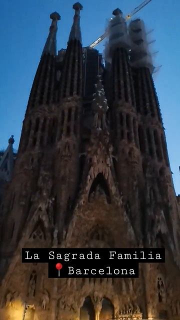 La Sgrada Familia in Barcelona Spain | #shorts