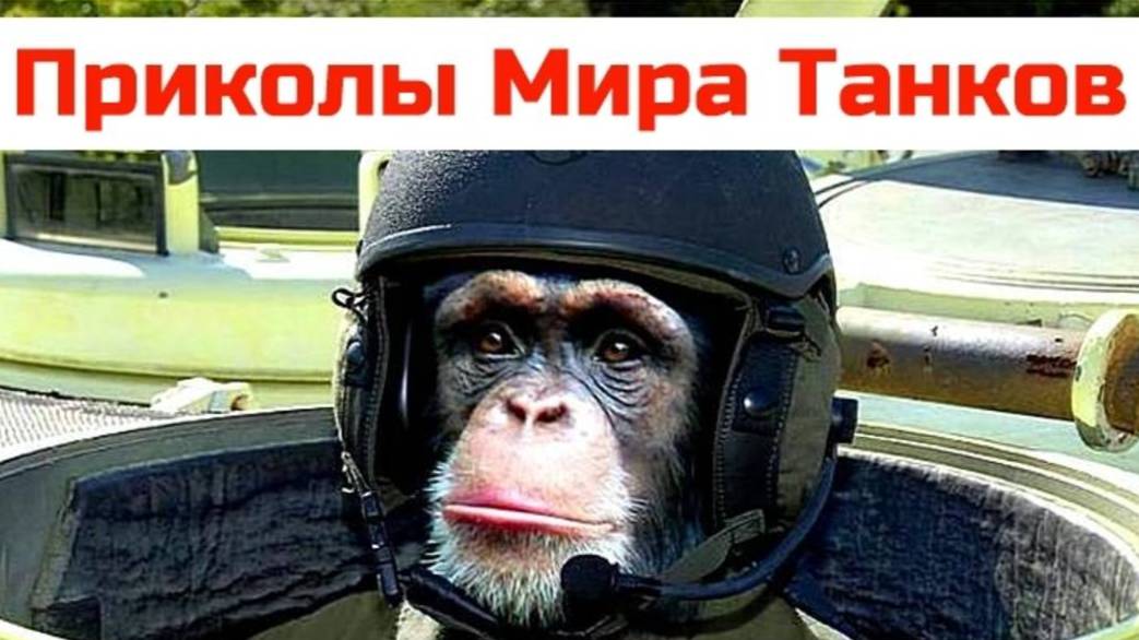 Мир Танков приколы.World of tanks приколы