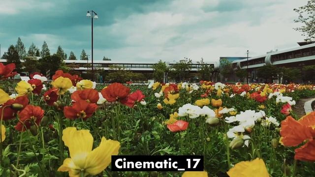 DaVinci ResolveユーザーにおすすめのLUTセット「LUT Color Presets for DaVinci Resolve」