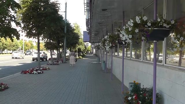 02.08.2014 Цветы на ул. Павлюхина 02576