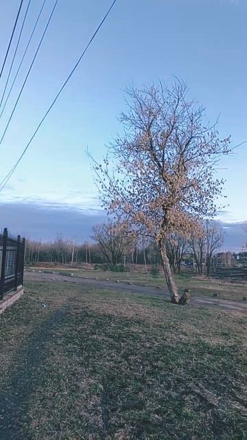 вид на Успенский собор от Златоустинской церкви Ярославль