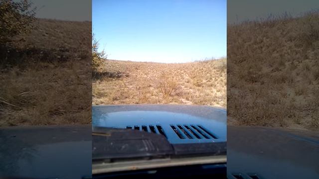 Сайга 12к