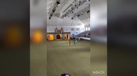 Королевские знаменитые лошадки танцующие... 👍