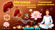 Стимуляция работы печени. Виброакустическая терапия с Джайгуру. ВАУ "Партнёр-Ол"