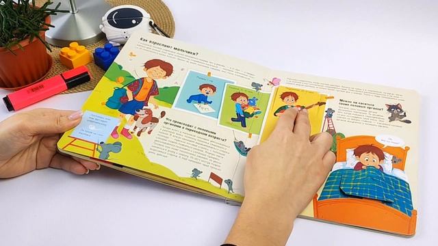 Книга с окошками Про Это Интимный ликбез Malamalama Энциклопедия для детей