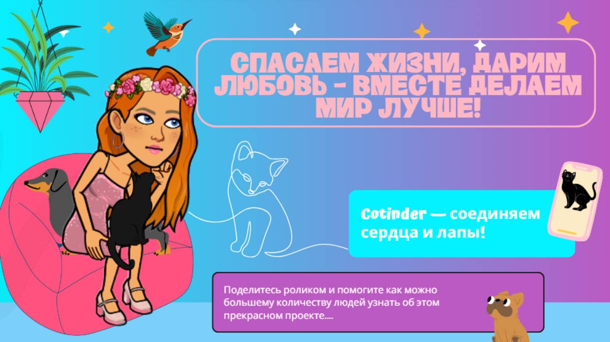 Официальная презентация проекта Cotinder. Только благодаря вам об этом проекте могут узнать другие